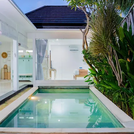 Massive 3 Bedroom Villa In Heart Of Seminyak